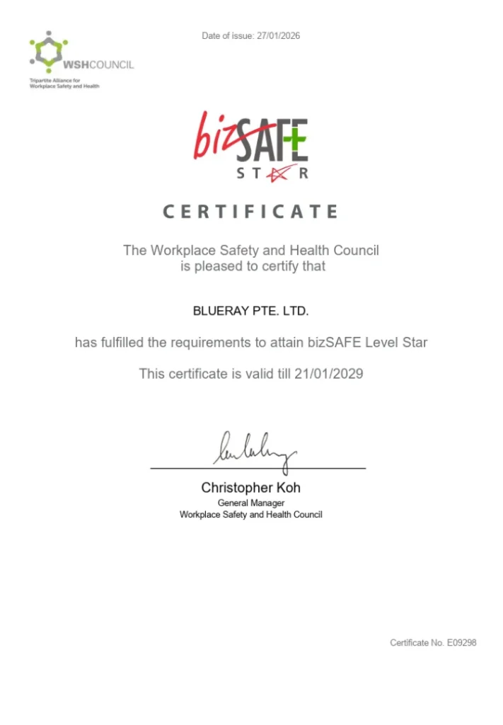 BLUERAY BIZSAFE STAR 2029